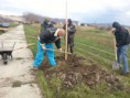 /album/fotogaleria-vysadba-stromov-13-4-20131/a20130413-081751-jpg/