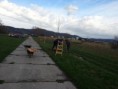 /album/fotogaleria-vysadba-stromov-13-4-20131/a20130413-083528-jpg/
